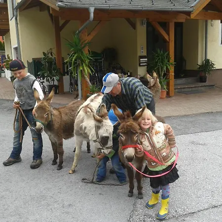 Fruehstueckspension Anja Casa de hóspedes Kleinarl