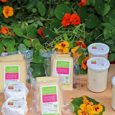 Penzion Fruehstueckspension Anja