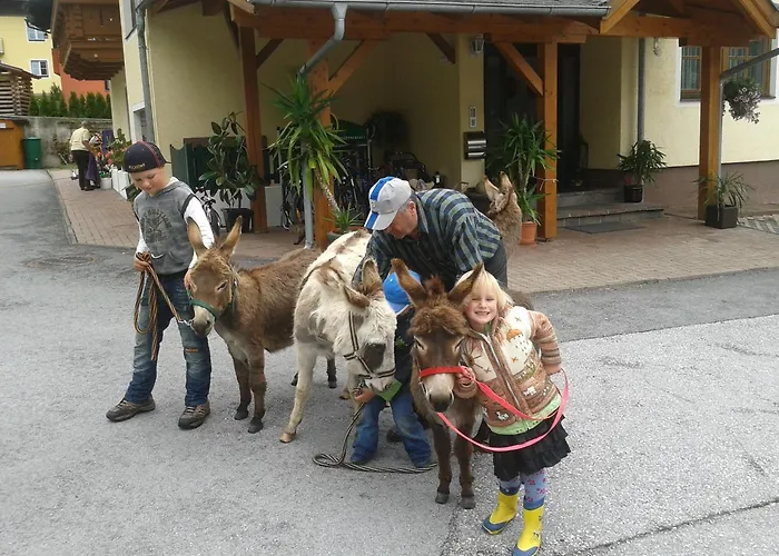 Fruehstueckspension Anja Penzion Kleinarl