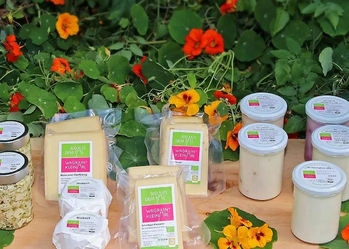 Penzion Fruehstueckspension Anja